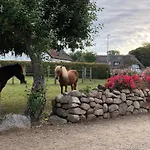 Birkelygaard