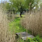Birkelygaard Bed & Breakfast