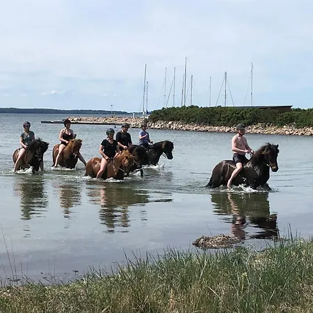 Panzió Birkelygaard
