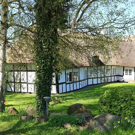 Birkelygaard