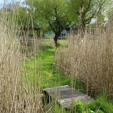 Birkelygaard Panzió