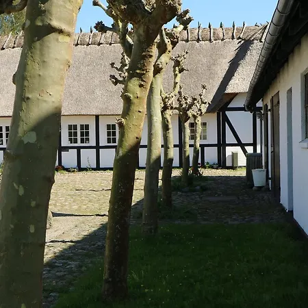 Panzió Birkelygaard *