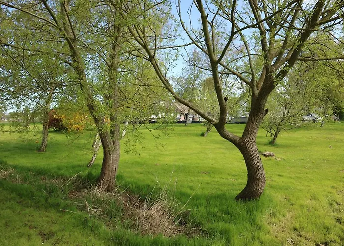 Birkelygaard